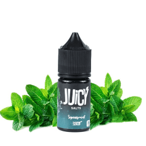 سالت نیکوتین جویسی نعنا JUICY SPEARMINT Salt ni